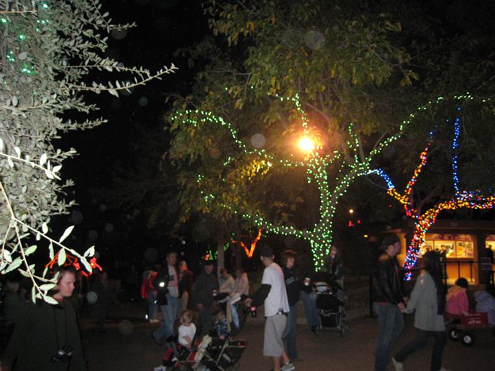 ZooLights 13.JPG